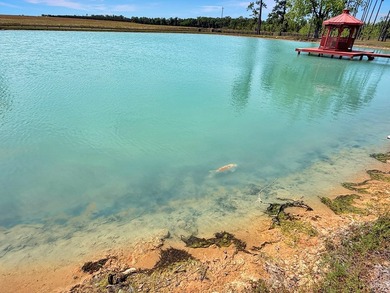 Known locally for the turquoise pond visible from the highway - photo 7
