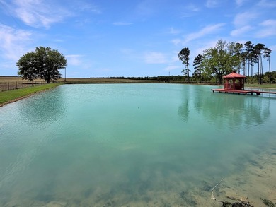 Known locally for the turquoise pond visible from the highway - photo 8