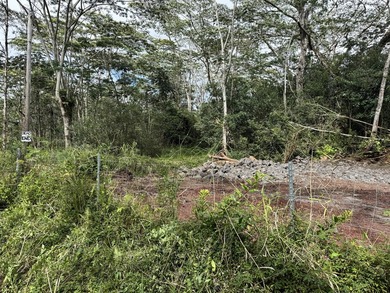 For Sale - Two (2) TMK's - side by side partially cleared - photo 15