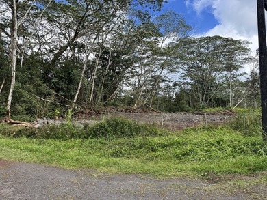 For Sale - Two (2) TMK's - side by side partially cleared - photo 25