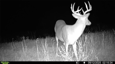 (private lake, pond, creek) Acreage For Sale in Higbee Missouri