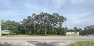 Prime commercial opportunity in a premier Pawleys Island - photo 4