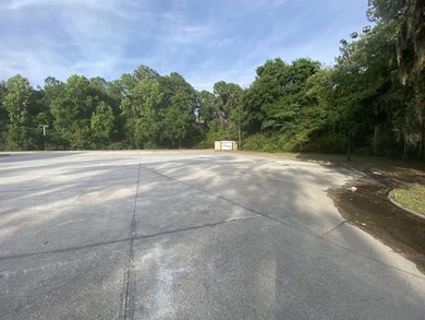Prime commercial opportunity in a premier Pawleys Island - photo 6