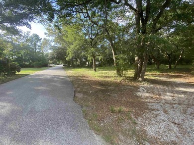 Prime commercial opportunity in a premier Pawleys Island - photo 8
