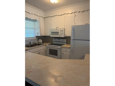 Experience the best of lake living in this beautiful, renovated - photo 8