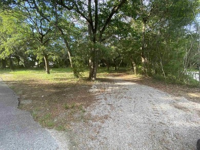 Prime commercial opportunity in a premier Pawleys Island - photo 10