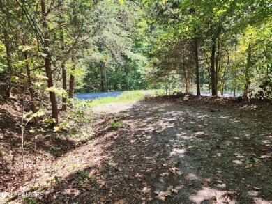 Lake Acreage For Sale in Sharps Chapel, Tennessee