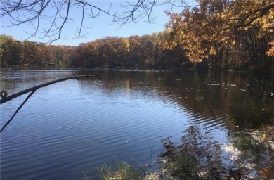 Lincoln Lakes Acreage For Sale in Cushing Twp Minnesota