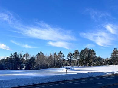 This rare 4.8-acre vacant parcel offers a PREMIER development - photo 5