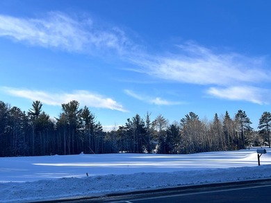 This rare 4.8-acre vacant parcel offers a PREMIER development - photo 6