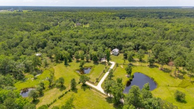 (private lake, pond, creek) Home For Sale in Wadmalaw Island South Carolina