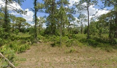 Lehigh Acres Area Lot For Sale in Lehigh Acres Florida