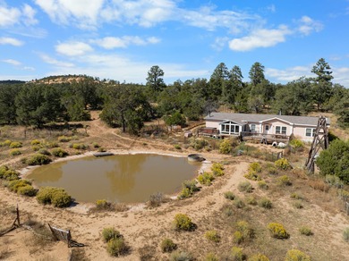 (private lake, pond, creek) Home For Sale in Pinehill New Mexico
