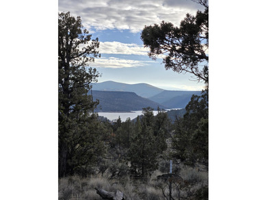 Prineville Reservoir Acreage For Sale in Prineville Oregon