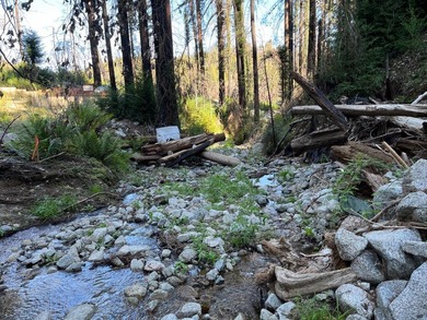 Foreman Creek cheerily babbles by this flourishing double lot of - photo 2