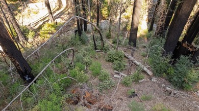 Foreman Creek cheerily babbles by this flourishing double lot of - photo 4