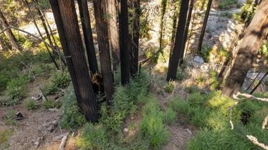 Foreman Creek cheerily babbles by this flourishing double lot of - photo 6