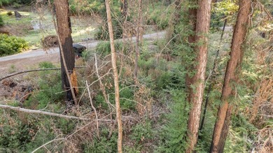 Foreman Creek cheerily babbles by this flourishing double lot of - photo 7