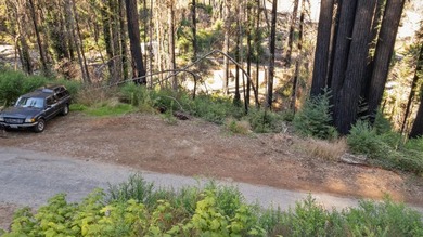 Foreman Creek cheerily babbles by this flourishing double lot of - photo 8