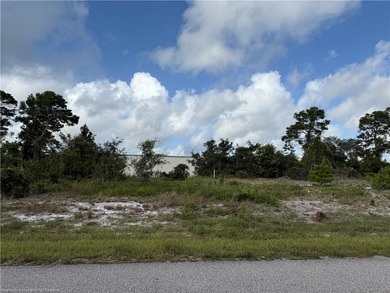 Lake Istokpoga Commercial For Sale in Lake Placid Florida