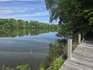 This lakefront property offers a prime building site for a dream - photo 3