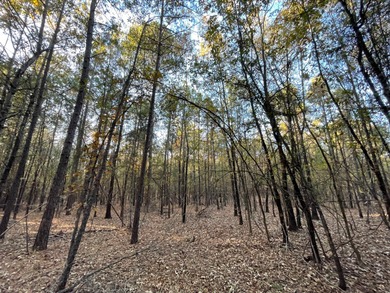 Lake Acreage For Sale in Antlers, Oklahoma