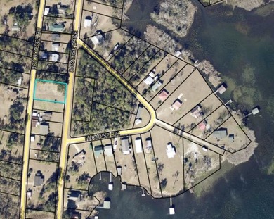 This cleared lot offers a clean slate surrounded by natural - photo 2