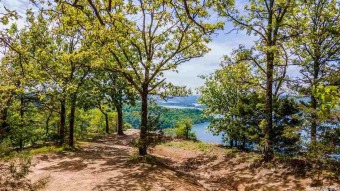 Greers Ferry Lake Acreage For Sale in Bee Branch Arkansas