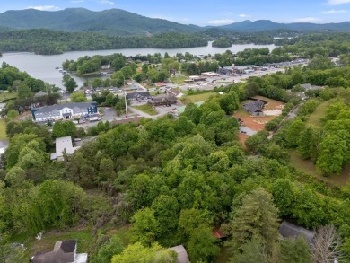 Lake Commercial For Sale in Hiawassee, Georgia