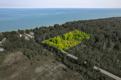 Lake Michigan - Allegan County Acreage For Sale in Douglas Michigan