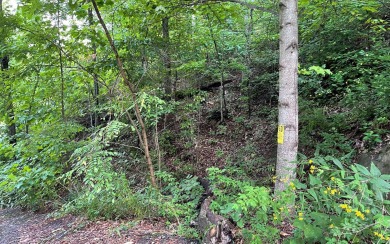 3.6 BEAUTIFULLY WOODED ACRES IN THE MOUNTAINS OF NORTH GEORGIA!! - Lake Lot For Sale in Hiawassee, Georgia