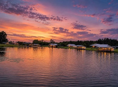 Escape to lake living on the sparkling waters of Lake Seminole! - photo 3