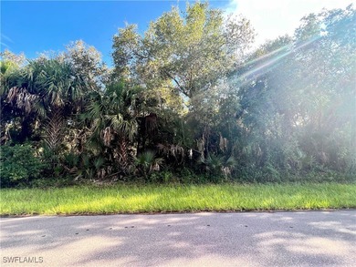 Port Charlotte Waterway Area Lot For Sale in Port Charlotte Florida