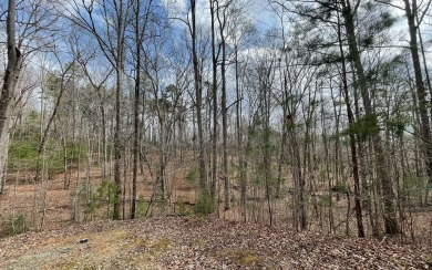BEAUTIFULLY WOODED LOT IN THE NORTH GEORGIA MOUNTAINS!! This 1.7 - Lake Lot For Sale in Blairsville, Georgia