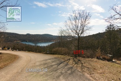 Lakeview Lot - photo 3