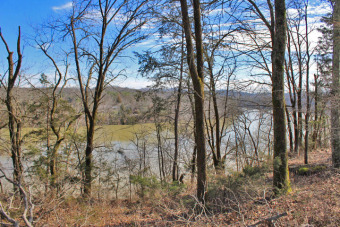 Lake Cumberland Acreage For Sale in Bronston Kentucky