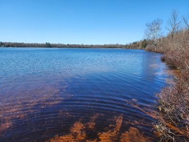 Bass Lake - Gogebic County Acreage For Sale in Watersmeet Michigan