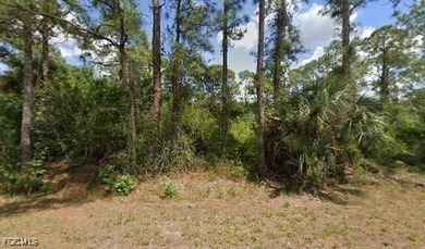 Lehigh Acres Area Lot For Sale in Lehigh Acres Florida