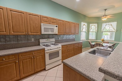 Beautiful 4/3/2 Key West style home in the gated Magnolia Lakes - photo 6