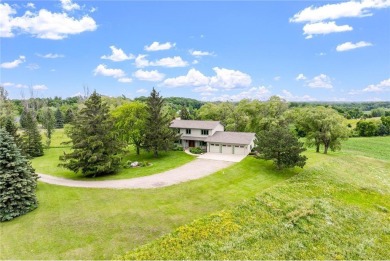 Lake Home For Sale in Prior Lake, Minnesota