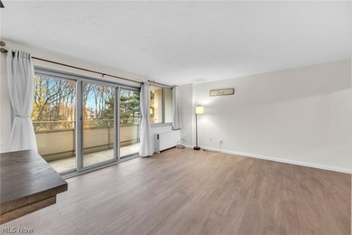 Welcome to 12900 Lake Ave #216, a beautifully updated 1-bedroom - photo 4