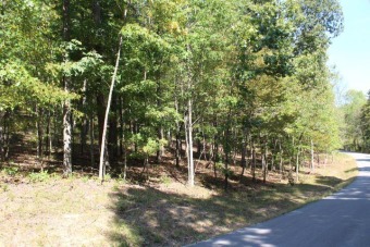 3.4 Wooded acres with 410 ft of road frontage, great spot to - Lake Acreage For Sale in Somerset, Kentucky