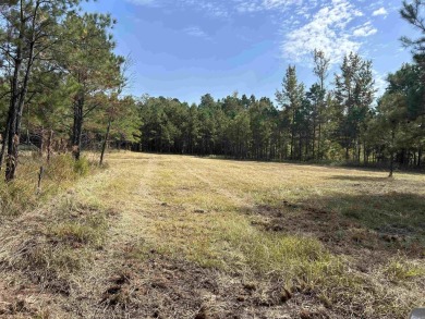 Lake Acreage For Sale in El Dorado, Arkansas