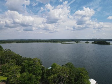 Located on the beautiful big water of Lake Seminole, this 3 - photo 10