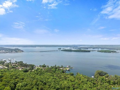 Amazing views overlook Lake Guntersville in the desired River - photo 2