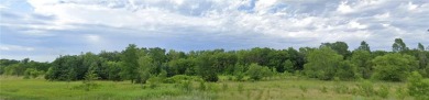 Mississippi River - Wright County Acreage For Sale in Dayton Minnesota