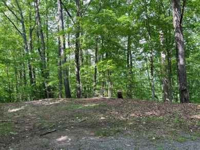 (private lake, pond, creek) Lot For Sale in Hayesville North Carolina