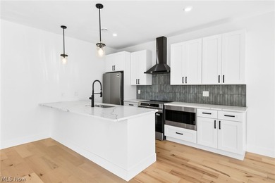 Eligible for Cleveland's 15 year tax abatement program - photo 8