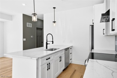 Eligible for Cleveland's 15 year tax abatement program - photo 10