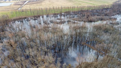 Bolen Slough is located 5.2 miles South of Idabel, Oklahoma - photo 12